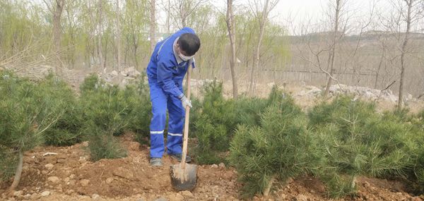 植树绿化进行时70