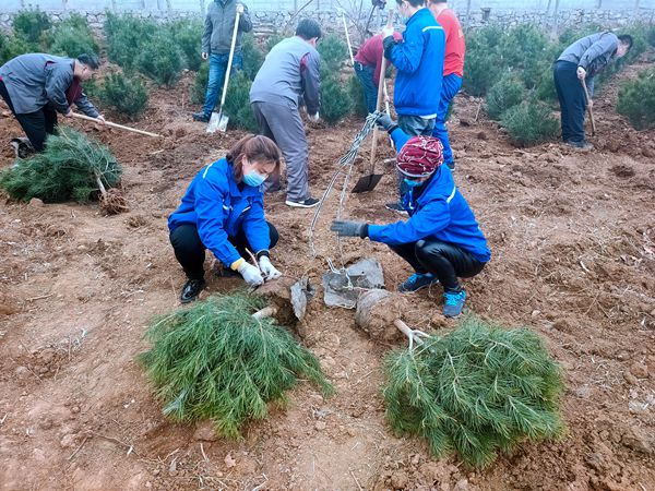 植树绿化进行时70