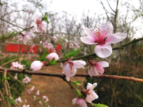 【重山影像】重山春已到 奋斗正当时（二）20