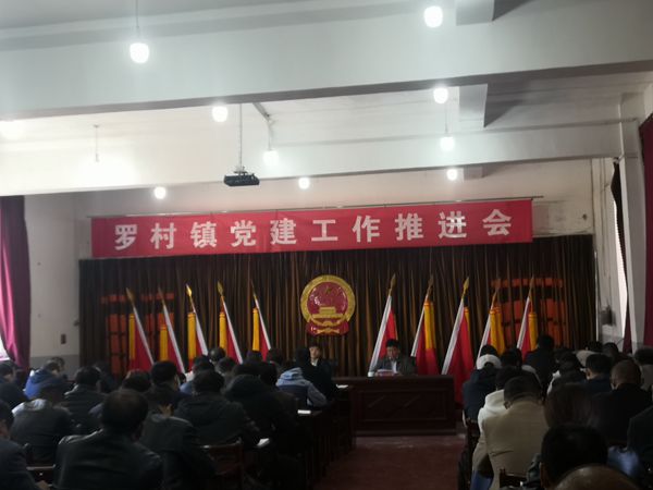 集团参加罗村镇党建工作推进会71