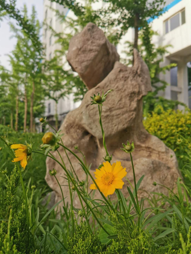 【重山影像】共享重山夏日美景89