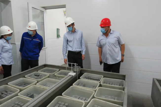 集团公司对鹏峰化工、黄骅三阳进行管理审核52