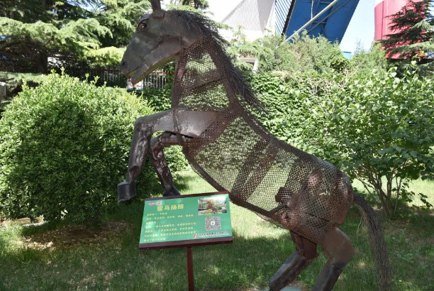 再学鼎鑫83