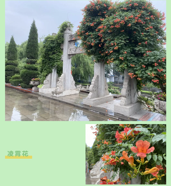 【重山影像】一起来看雨中的重山64