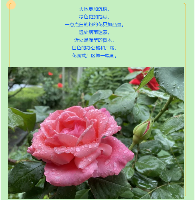 【重山影像】一起来看雨中的重山64