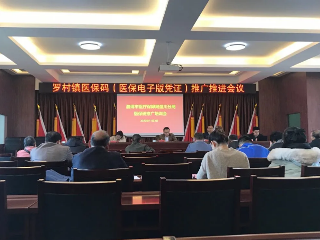 参加罗村镇医保码推广推进会议36