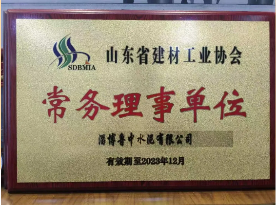 鲁中水泥当选山东省建材工业协会常务理事单位67
