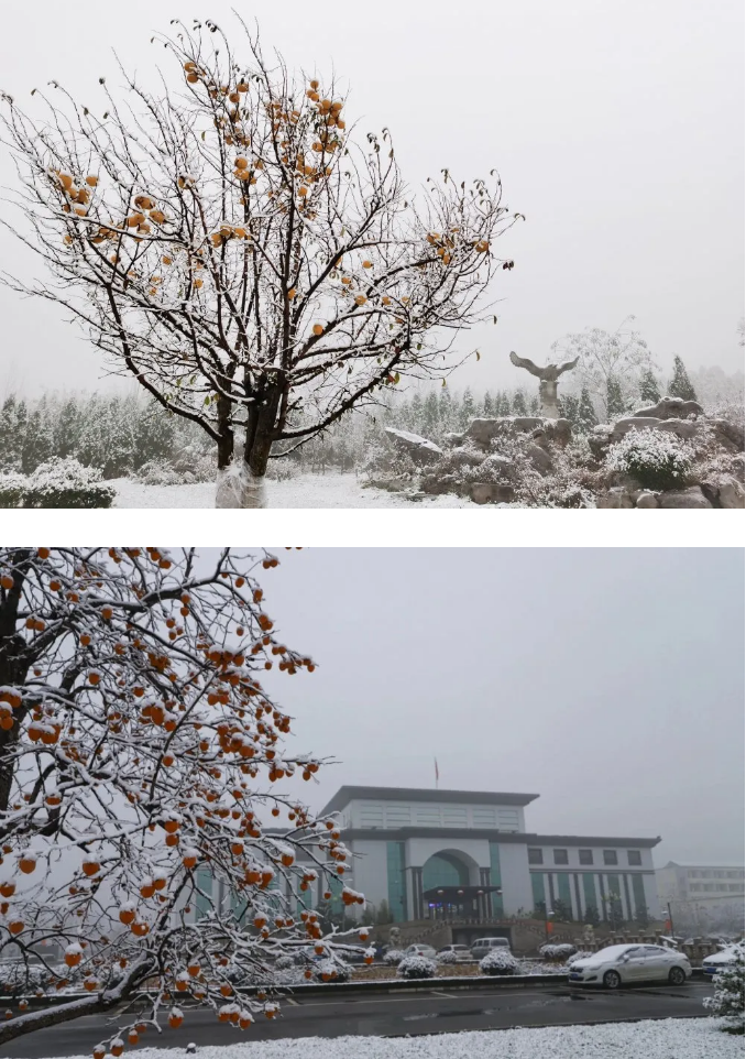 重山邂逅今冬初雪9