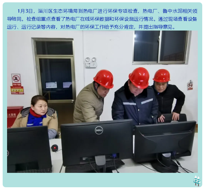 区生态环境局到热电厂进行专项检查31