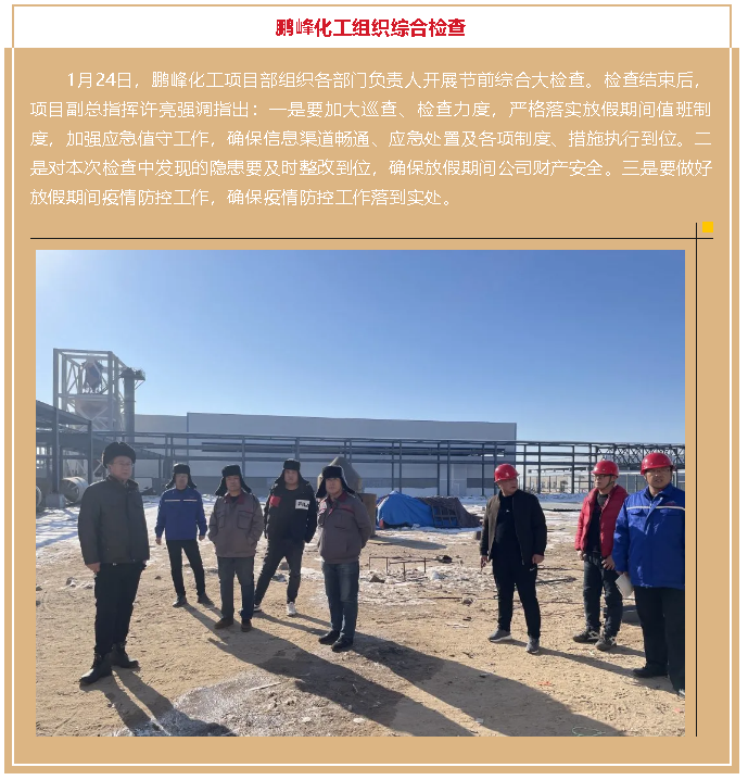 区应急管理局到鲁中水泥安全检查27
