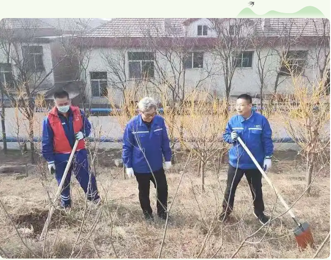 【植树节】植一片绿色 播种一片希望——集团党委组织植树绿化活动27