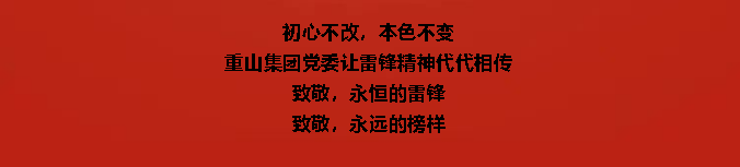 雷锋活动月 用行动向雷锋致敬68