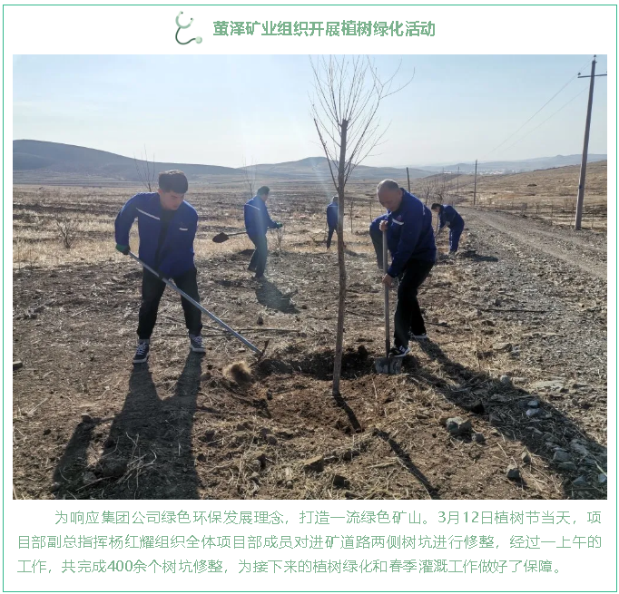 萤泽矿业组织开展植树绿化活动32