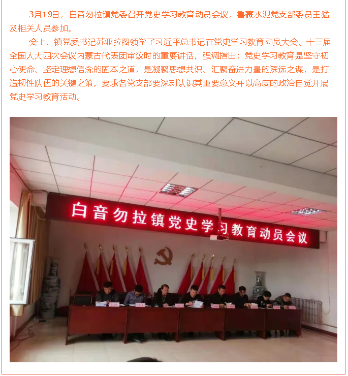 鹏峰化工党支部、鲁蒙水泥党支部参加党史学习教育动员会议36