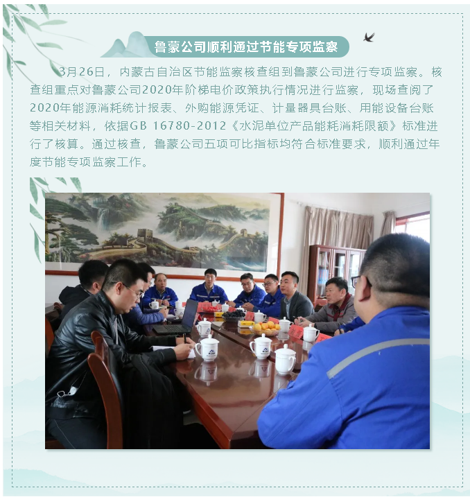 鲁蒙公司顺利通过节能专项监察82