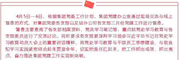 集团党建办公室开展三月份党建工作督查38