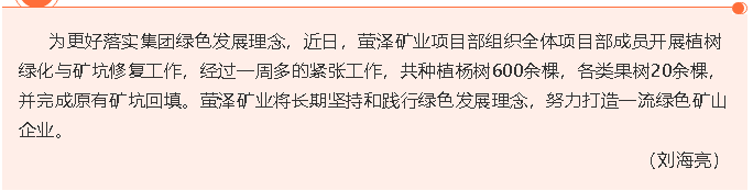 萤泽矿业组织植树绿化活动55