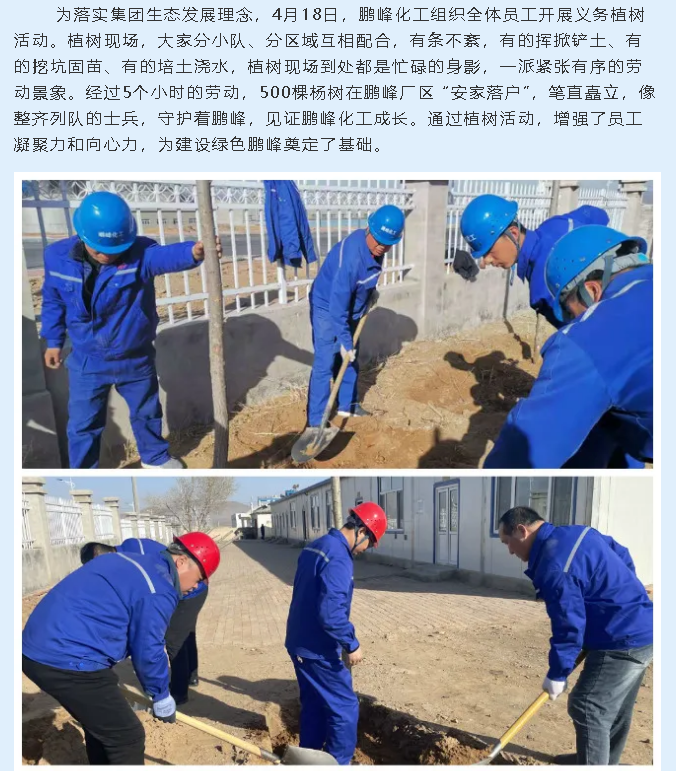 鹏峰化工组织开展植树绿化活动39