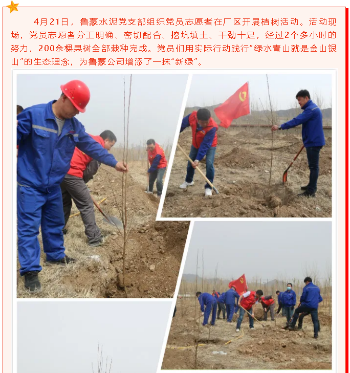 鲁蒙水泥党支部开展植树活动42
