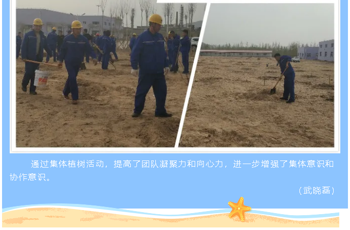鹏峰化工开展植树绿化活动1