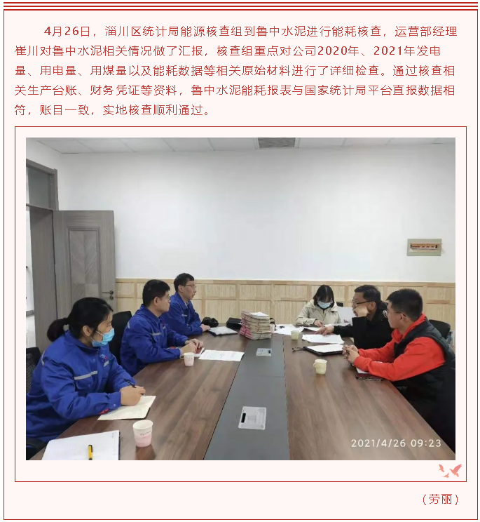 区统计局到鲁中水泥进行能耗核查18