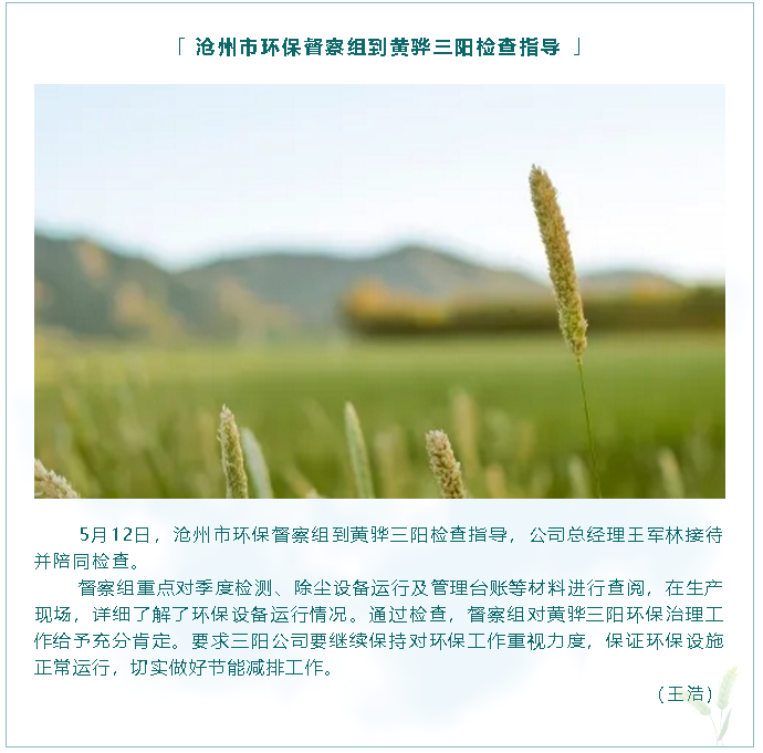 沧州市环保督察组到黄骅三阳检查指导90