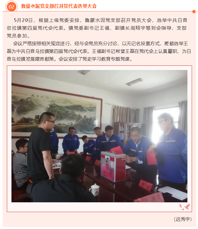 鲁蒙水泥党支部召开党代表选举大会46