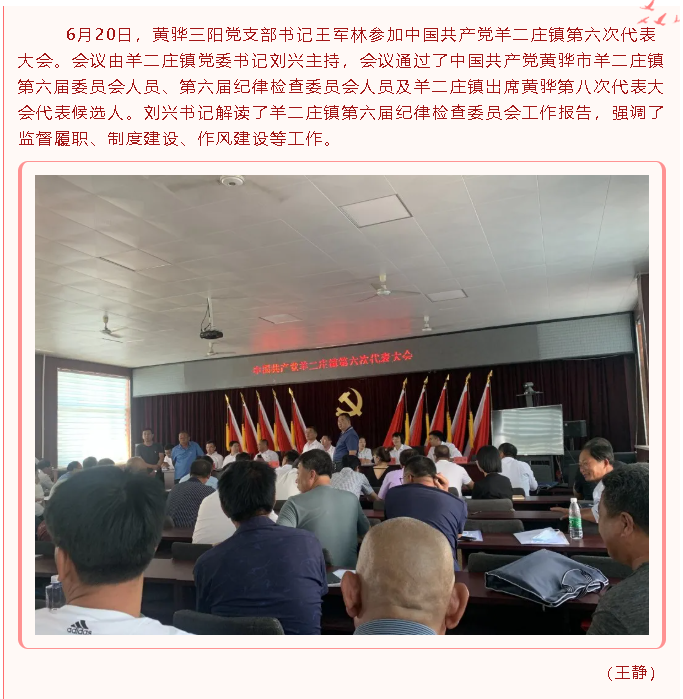 黄骅三阳党支部参加中国共产党羊二庄镇第六次代表大会49