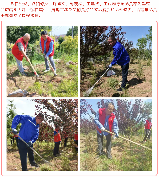 学党史 办实事 ——重山集团党委组织党员志愿服务活动74
