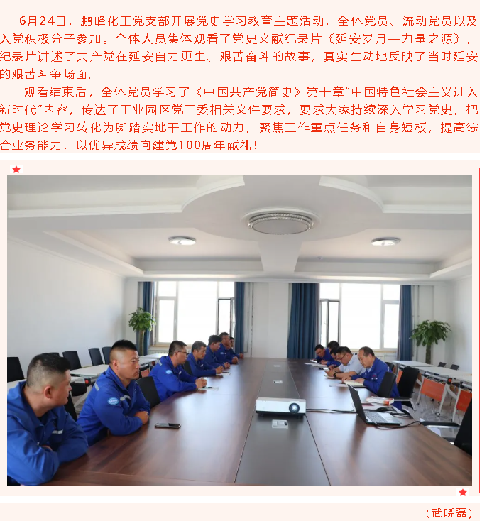鹏峰化工党支部开展党史学习教育主题活动99