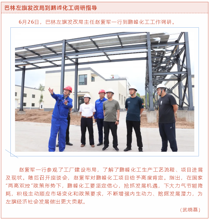 巴林左旗发改局到鹏峰化工调研指导22