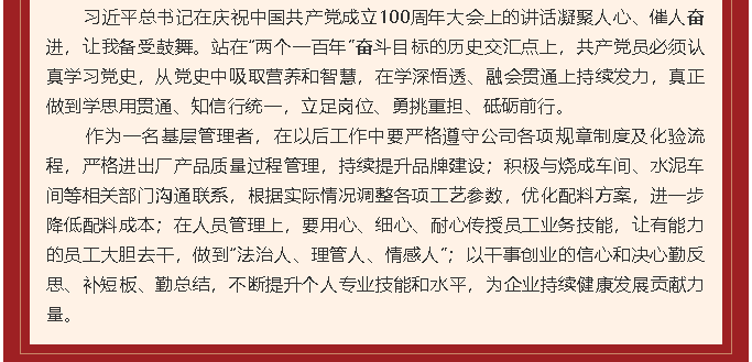 学习习近平庆祝建党百年讲话心得体会（三）90