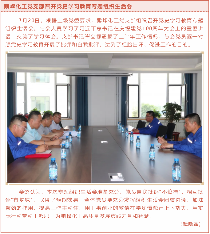 鹏峰化工党支部召开党史学习教育专题组织生活会76