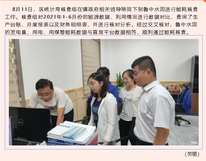 区统计局到鲁中水泥进行能源核查19