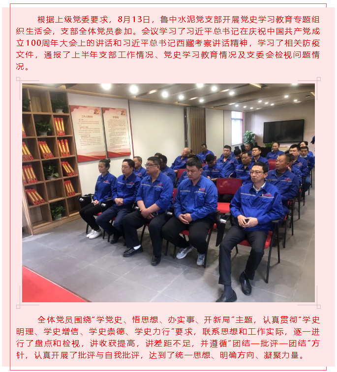 鲁中水泥党支部开展党史学习教育专题组织生活会16