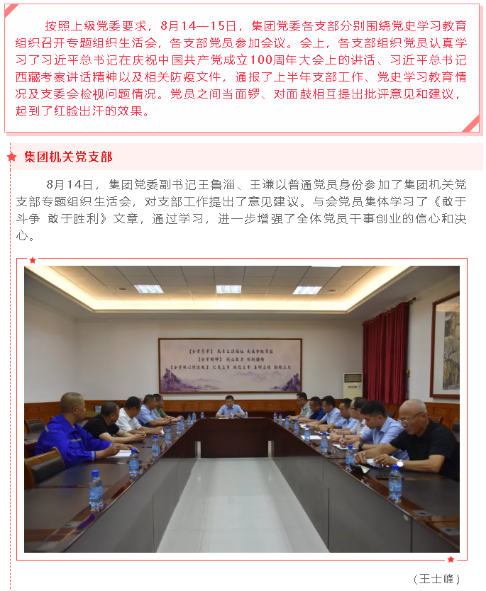 集团党委各支部开展党史学习教育专题组织生活会47