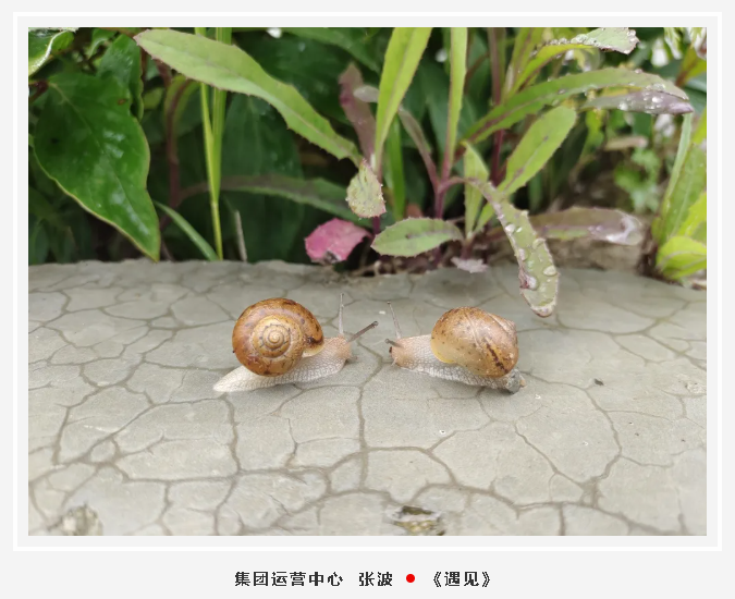 【魅力重山·幸福南韩】书画摄影作品展（一）42