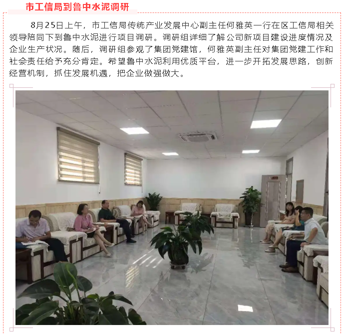 市工信局到鲁中水泥调研93