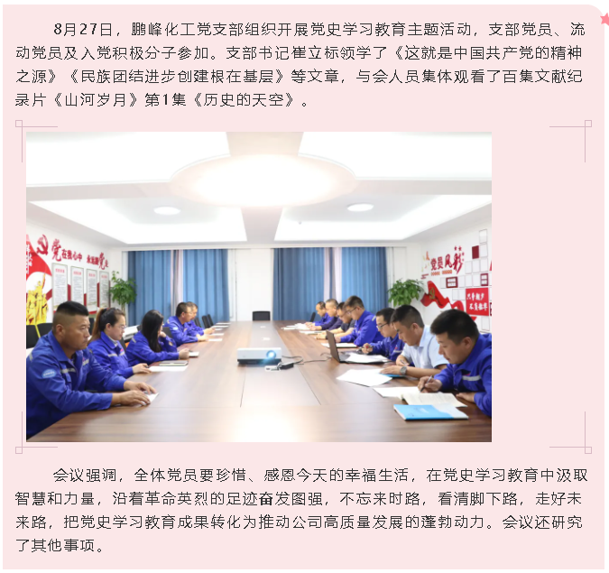 鹏峰化工党支部开展党史学习教育主题活动0