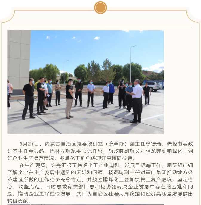 自治区党委政研室到鹏峰化工调研指导工作34