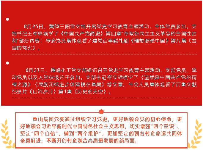 【党建】八月份党史学习教育简报44