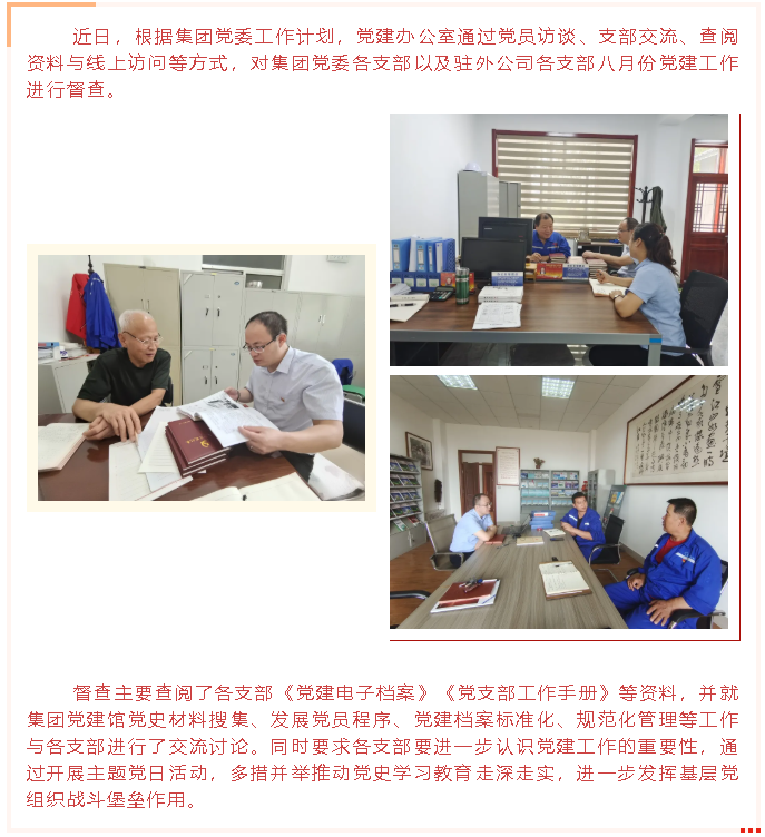 集团党建办开展八月份党建工作督查43