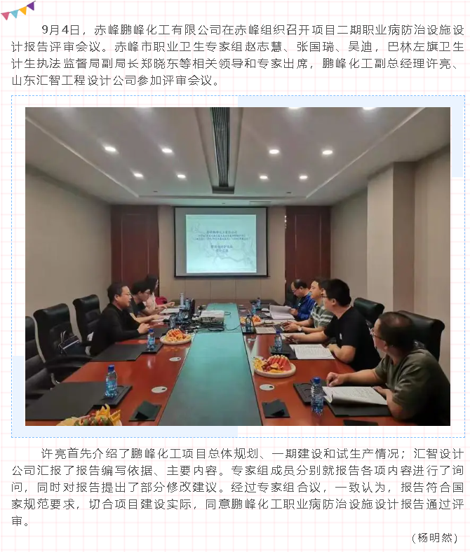 鹏峰化工顺利通过职业病防治设施设计报告专家评审18