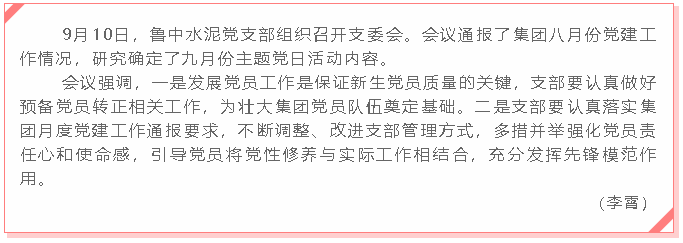 鲁中水泥党支部召开支委会6