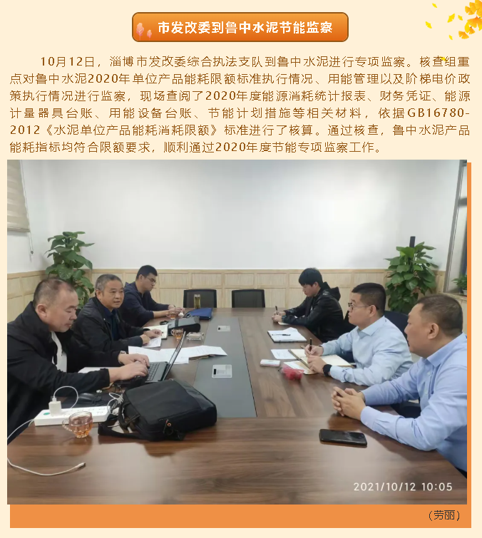 市发改委到鲁中水泥节能监察40