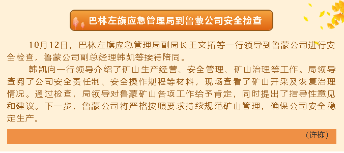 巴林左旗应急管理局到鲁蒙公司安全检查72