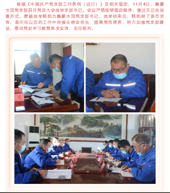 鲁蒙水泥党支部完成选举工作53