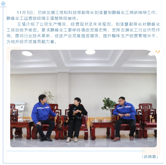 巴林左旗工信和科技局到鹏峰化工调研56