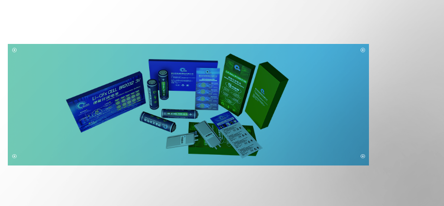 高比能量锂氟化碳电池