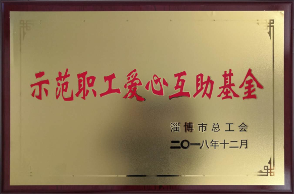 集团荣获“示范职工爱心互助基金”荣誉称号